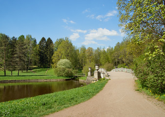 Pond in a beautiful oudoor park surrounded by a trees