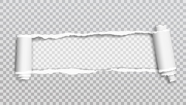 Rolled and ripped white squared notebook paper is on squared background for text. Vector illustration