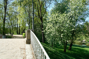 Balustrade of the old bridge in the park - 308314999