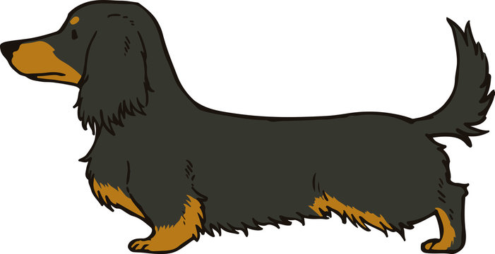 Dachshund Cartoon Images – Browse 17,760 Stock Photos, Vectors, and Video |  Adobe Stock
