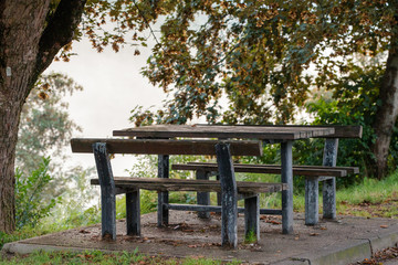 bench in the park