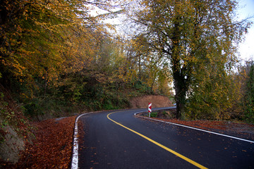 Fototapeta premium bends in the fall, asphalt road view