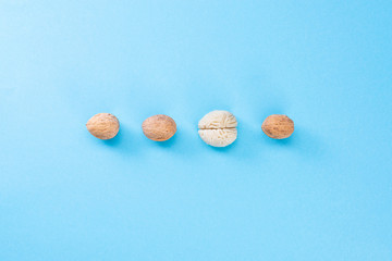 Walnut and brain mock up on a blue background. 