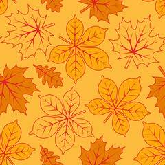 autumn leaves texture