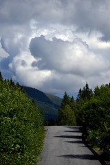 Fototapeta na wymiar road in the mountainsmorning in the forest, åre, jämtland, sweden, north