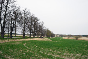 Fototapeta na wymiar view of the park, sweden, stockholm