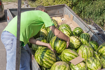 Watermelons on a spontaneous market by the highway
