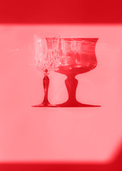 Pink coral stemmed glass and shadow. Monochrome minimal color flat lay