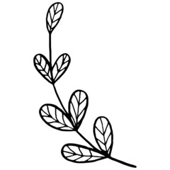 Vector black contour of a Christmas mistletoe branch in a minimalistic style. Christmas winter illustration for adults, children`s coloring.