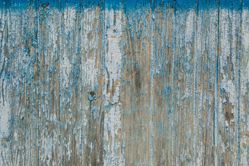 Blue wooden wall, old wood planks texture, grunge background, abstract interior design 