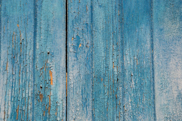 Fototapeta premium Blue wooden wall, old wood planks texture, grunge background, abstract interior design 
