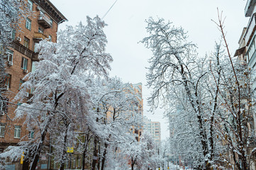 Trees and cars at streets after snow storm in Kyiv, Ukraine on February 6, 2019. 