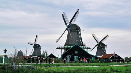 Obraz premium dutch windmill in holland