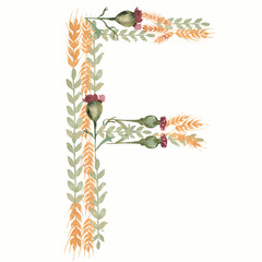 Watercolor Floral Monogram Letter F. hand drawn ABC alphabet. Wildflowers letters.