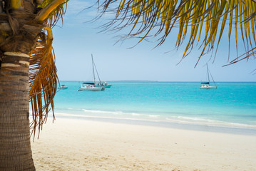 Fototapeta na wymiar view to sea and yachts under palm leaves on Zanzibar island in Tanzania