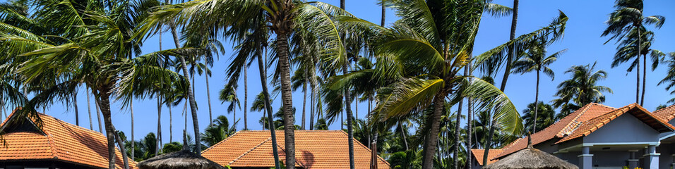 Fototapeta na wymiar Tropical Holiday Banner coconut palms