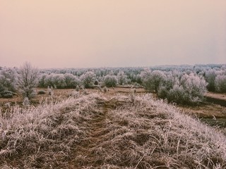 Snowy frozen landscape in winter