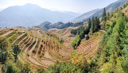 Fototapeta na wymiar The scenery wavy Longsheng Rice Terraces after harvest - North Guillin, Guangxi Province, China