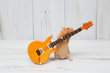 Сute mouse plays guitar, sings. Fun pet fond of music. Talented animal: home musician. Musical...
