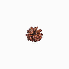 Brown pine cone highlighted on white background. Suitable for collaging on Christmas, new year themes.