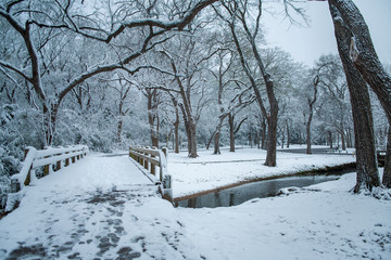 White Rock Lake. Dallas, Texas.