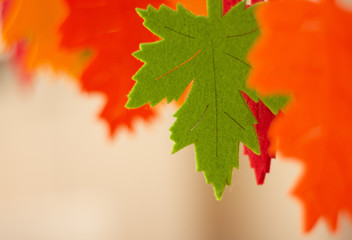 Blatt grünes Filz Blatt mit roten und orangen Hintergrund
