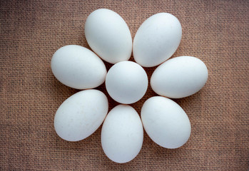 boiled egg isolated on brown background cutout