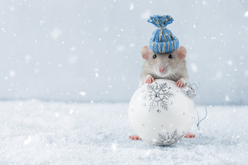 New year rat with glass ball decoration