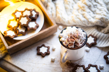 Comforting Christmas food, mug of hot cocoa with marshmallow and cookies with cozy lights