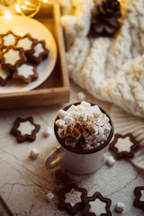 Comforting Christmas food, mug of hot cocoa with marshmallow and cookies with cozy lights