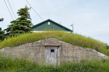Old root cellar, Newfoundland