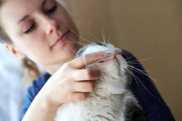 Woman brushes cat's teeth with a toothbrush on her finger.