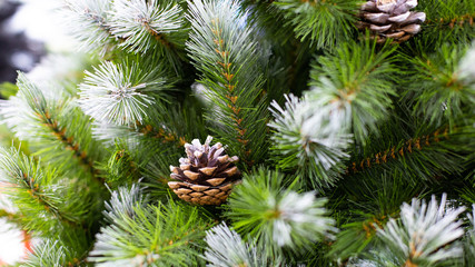 Beautiful Christmas tree with green needles covered with snow and natural cones. Artificial spruce branch with cones for decoration New Year and Christmas holiday