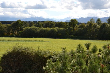 the peaks of the Pyrenees rise above a green lawn and trees