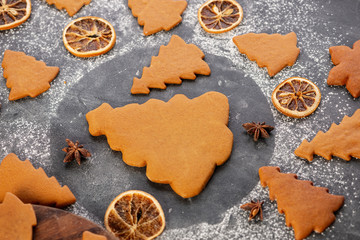 Various christmas gingerbread cookies on dark table