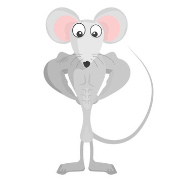 Cartoon white rat - bodybuilder. Strong mouse. Rat athlete. Vector.