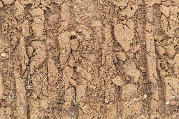 Texture of Wheels Track in Soil