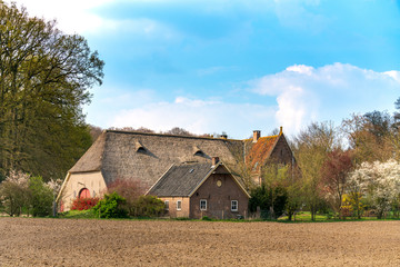 Fototapeta na wymiar Farmhouses on the estate of Avegoor in The Netherlands near Ellecom.