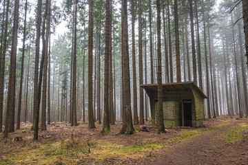 Hut in foggy forest on the way to Javorník lookout tower. Autumn color and mood. Javornik/Šumava, Czech Republic