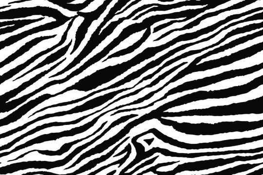Full seamless zebra and tiger stripes animal skin pattern illustration. Black and white vector design for textile fabric printing. Fashionable and home design fit.