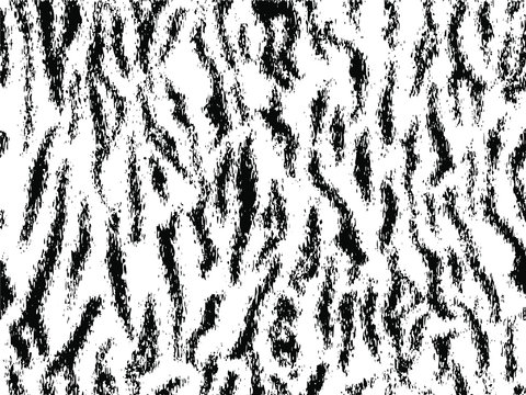 Full seamless zebra and tiger stripes animal skin pattern illustration. Black and white vector design for textile fabric printing. Fashionable and home design fit.