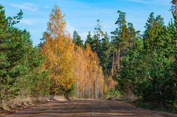 autumn country road deadlock