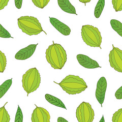 Vector hand drawn seamless pattern of a medicinal plant Terminalia arjuna