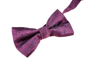 beautiful purple men's bow tie, bow tie isolated on white background