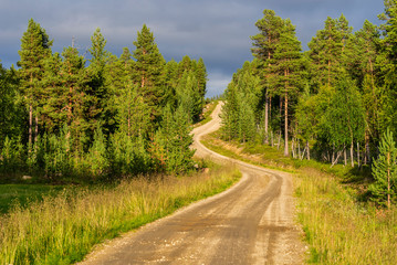 Fototapeta na wymiar Ground road through the pin forest of Lemmenjoki national Parc in Finish Lapland. Inari municipality.
