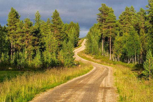 Ground road through the pin forest of Lemmenjoki national Parc in Finish Lapland. Inari municipality.
