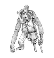 Fototapeta premium Funny chimp pirate. Big ape with a pipe. Chimpanzee illustration.