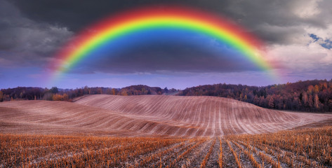 rainbow in the field. picturesque hilly field