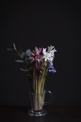 Close-up of hyacinths and eucalyptus branch in a glass cup on a dark background, selective focus