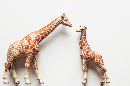Brown Toy Giraffe on White Background